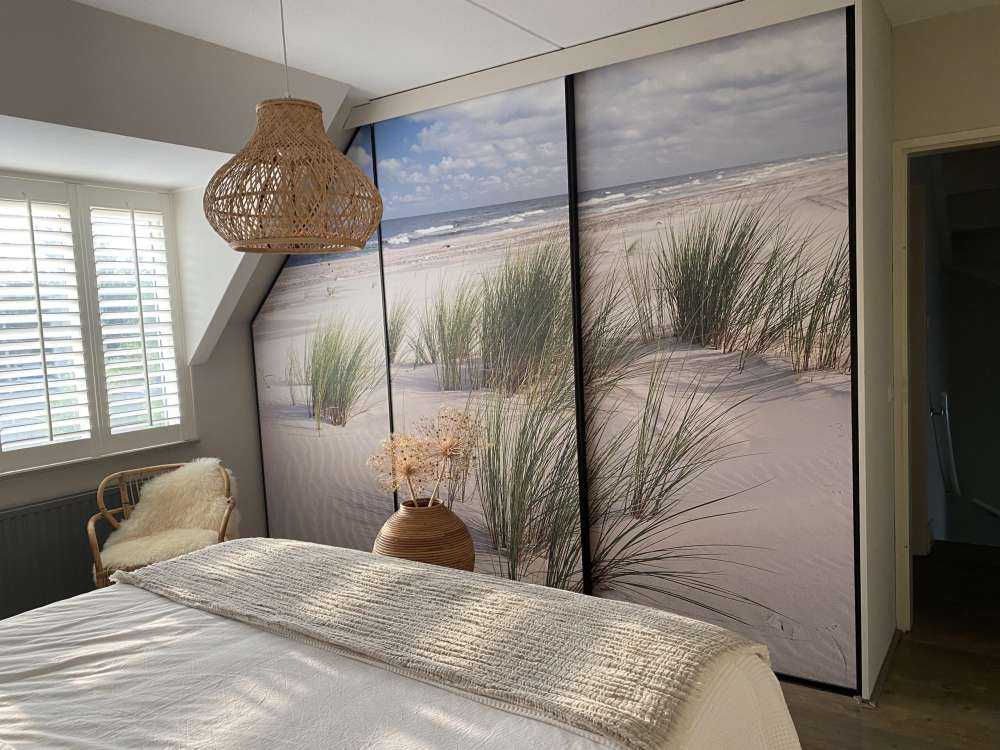 Beach with dune plants