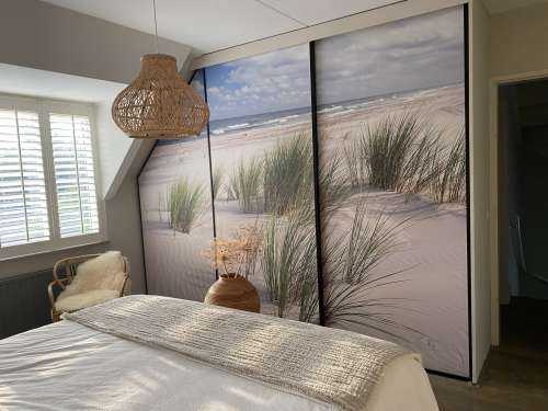 Beach with dune plants