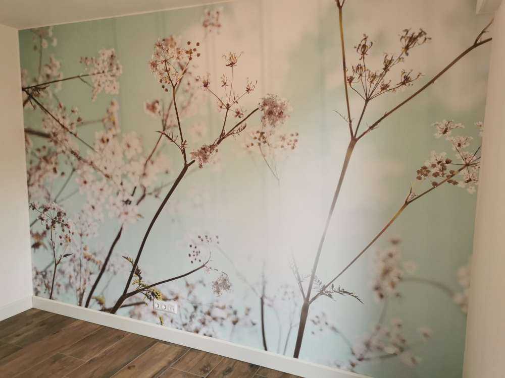 Almond blossom in the sun