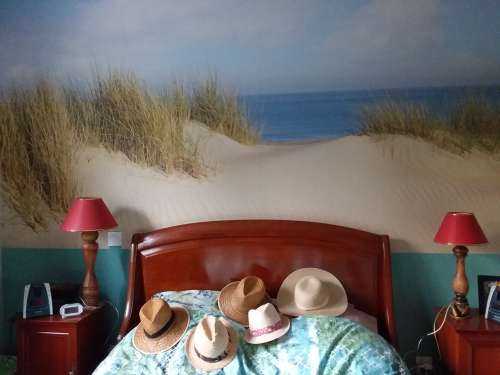 Dune passage to the beach