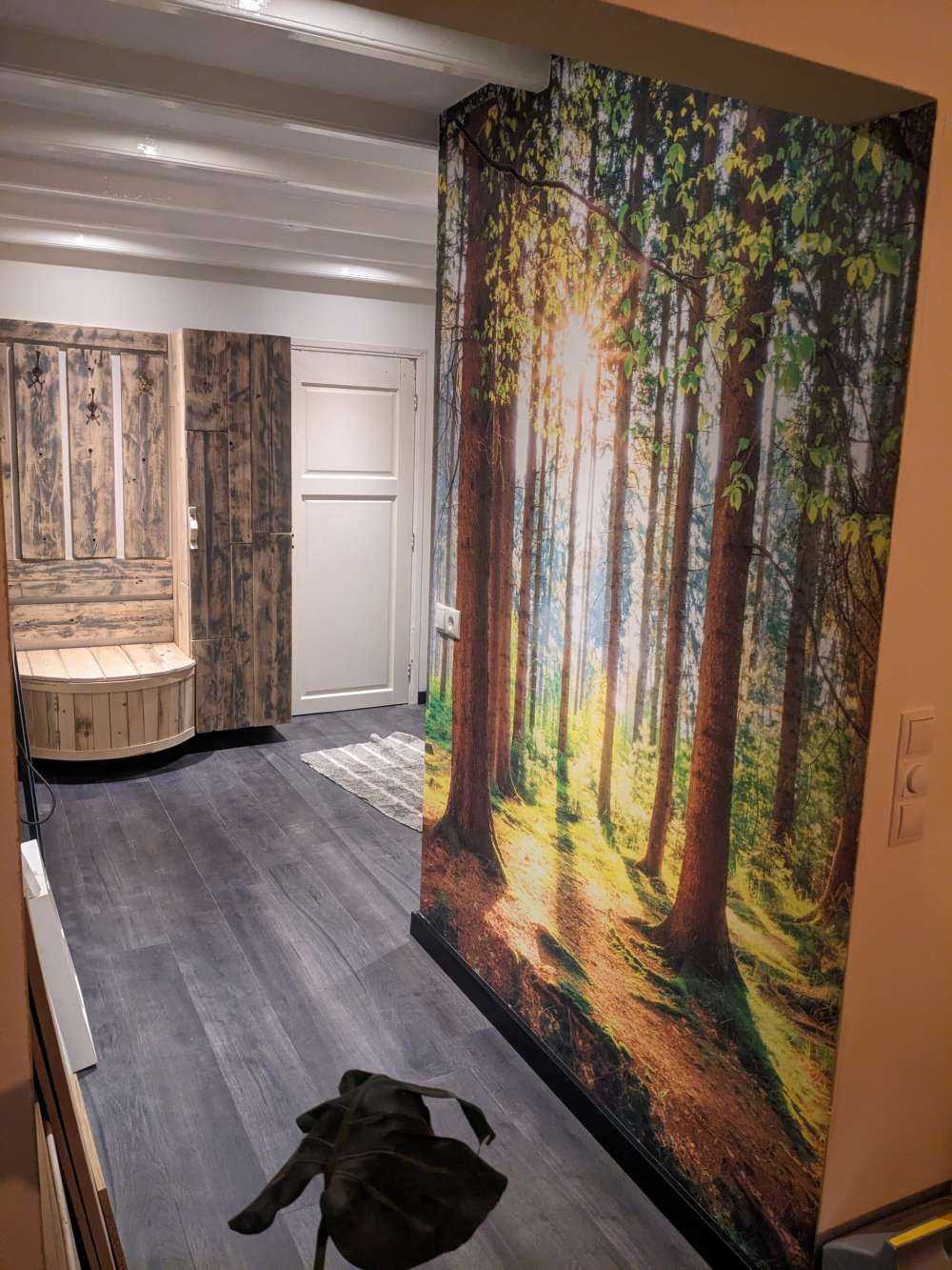 Sunrise in the forest