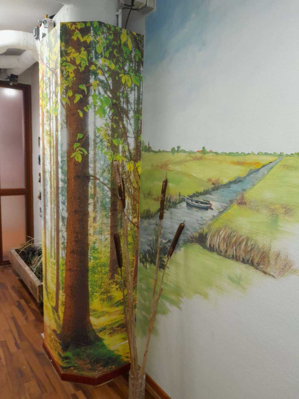 Sunrise in the forest