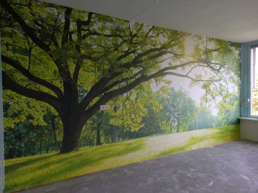 Beautiful tree with green grass