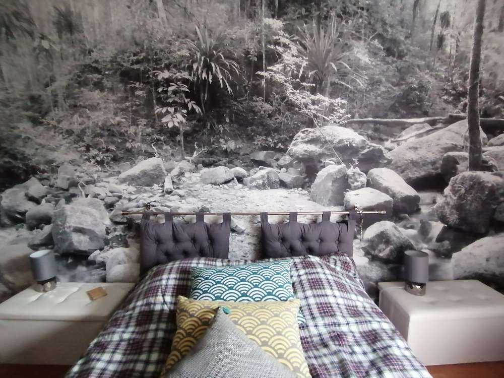 Rainforest