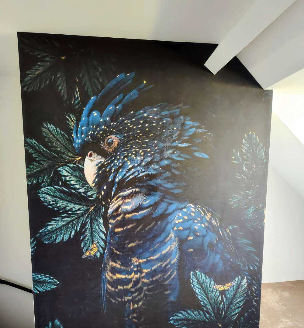 Jungle Cockatoo 2