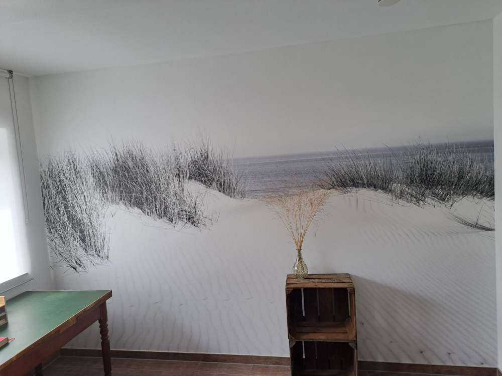 Dune passage to the beach black and white