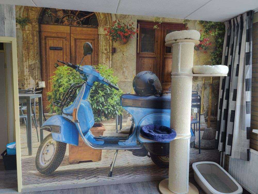 Blue scooter