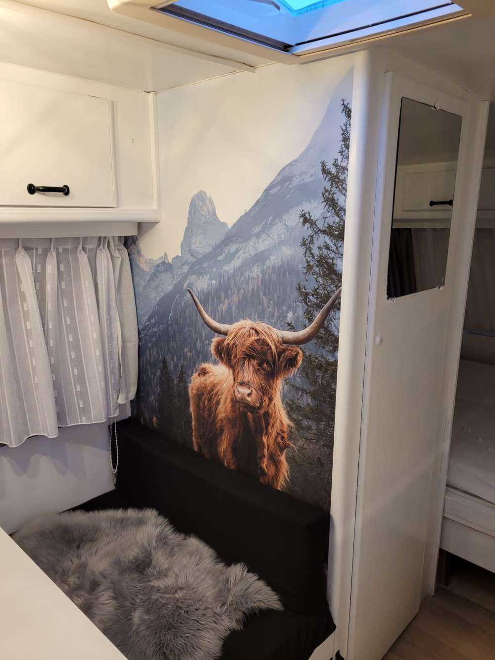 Scottish highlander among the trees