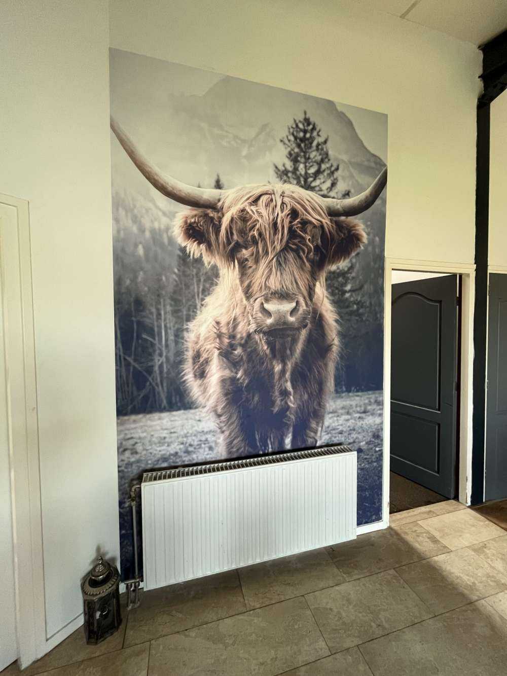 Scottish Highlander by the forest