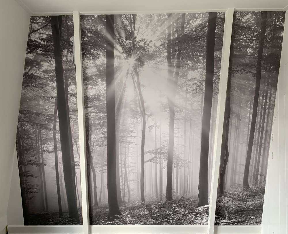 Autumn deciduous forest