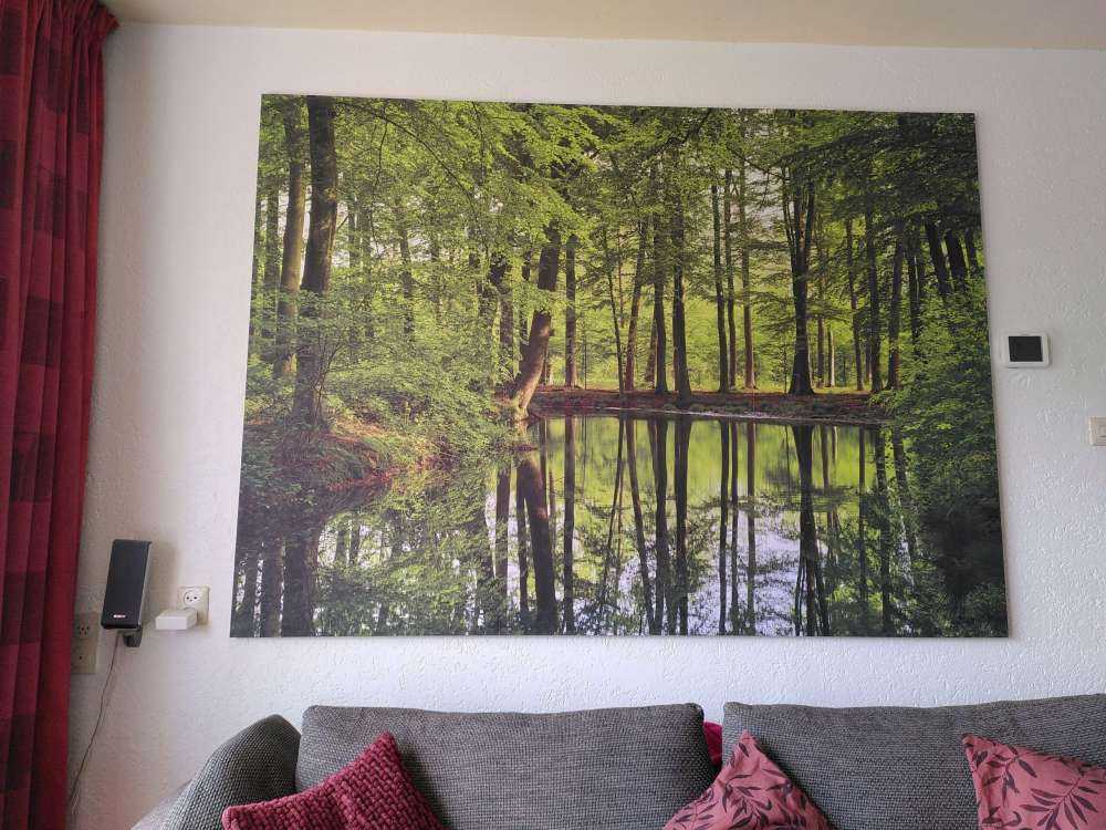 Reflection of trees in water