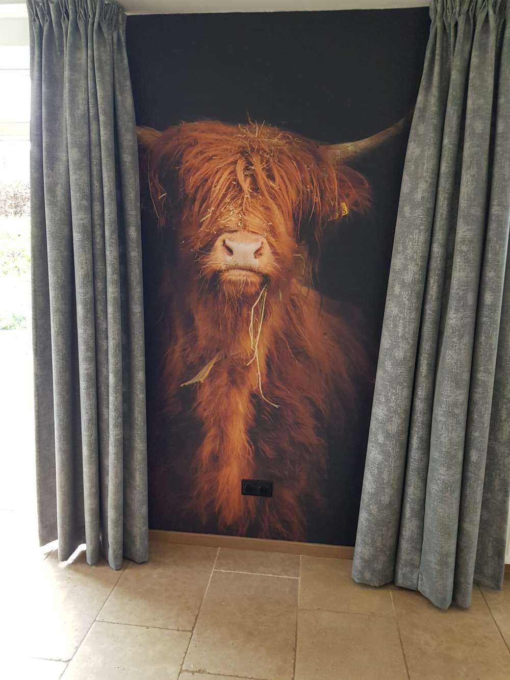 Portrait&#x20;Scottish&#x20;Highlander