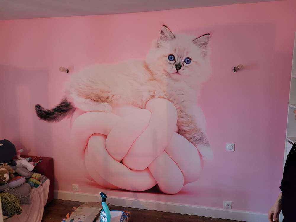 White cat on pink background