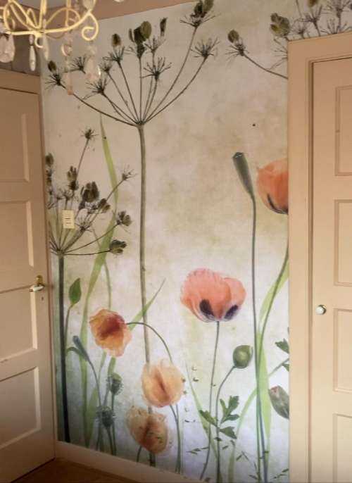 Poppy Meadow