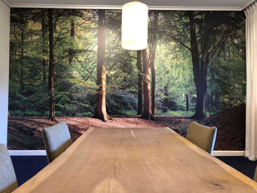 Brooklet in the forest