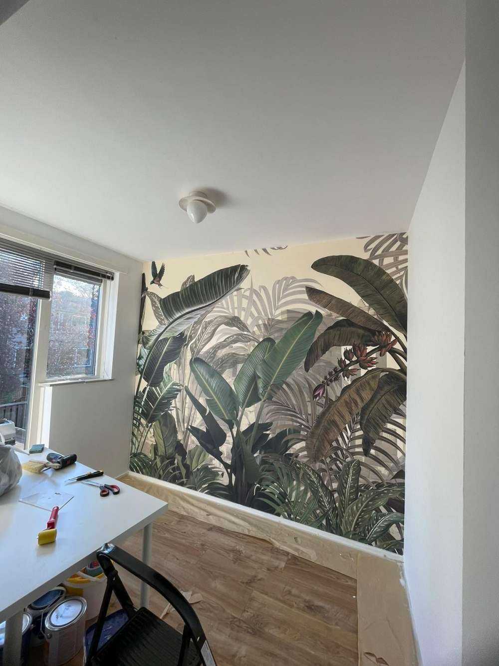 Plants in the jungle