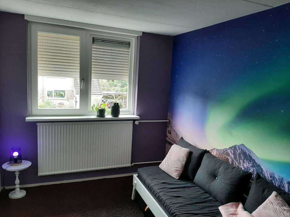 Clear northern lights