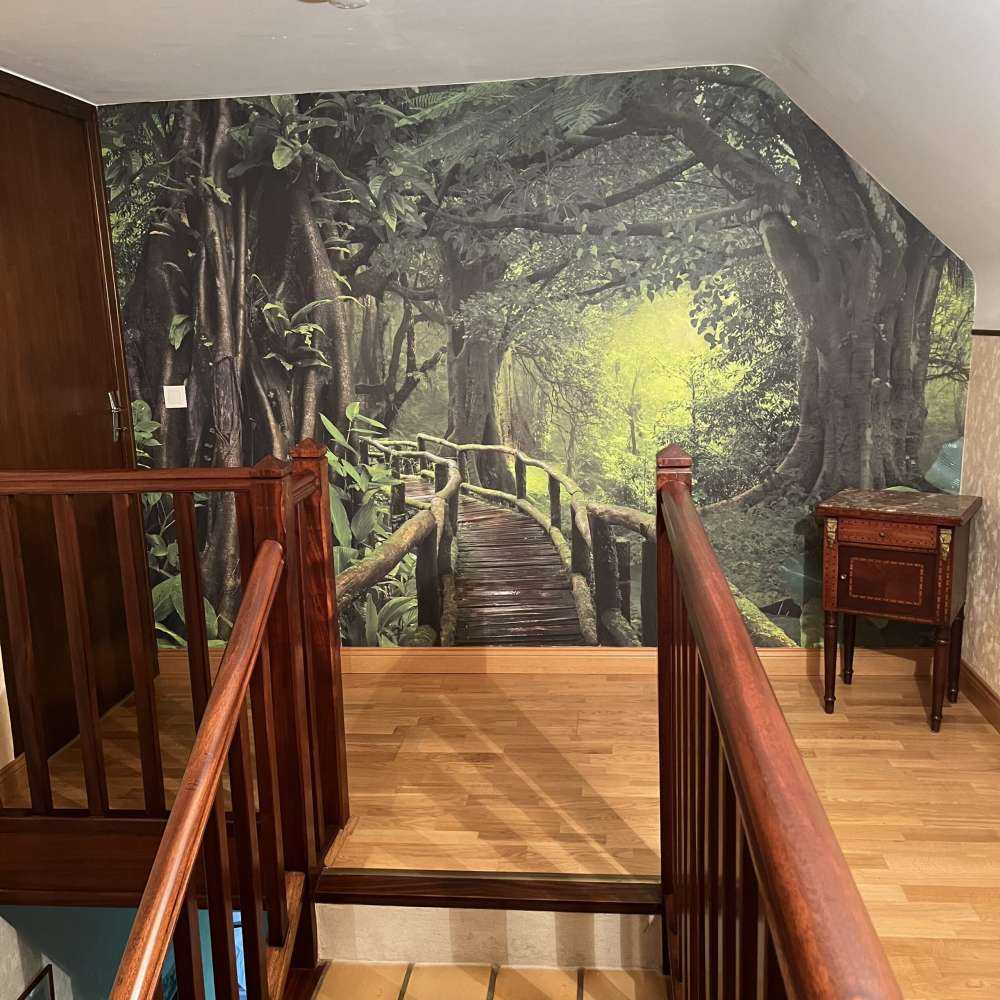 Wooden bridge through a green jungle