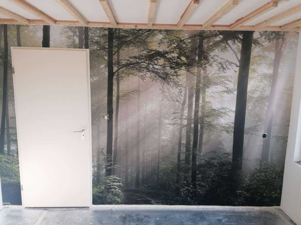 Green forest in the fog