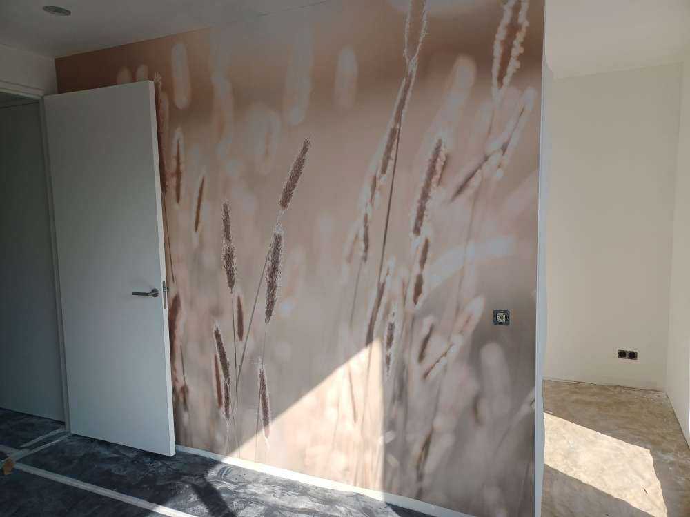 Sunlight through meadow