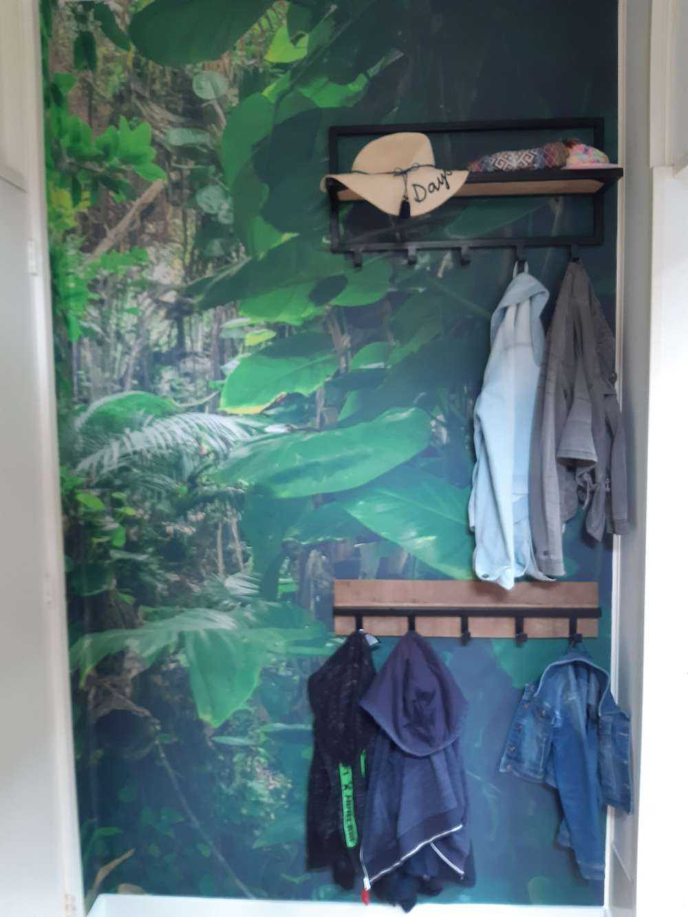 Branches in the rainforest