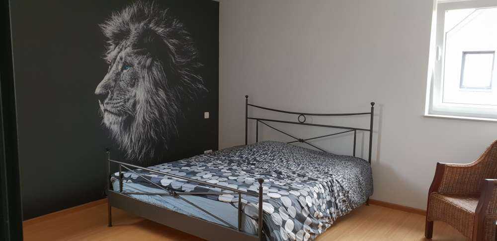 Lion with blue eyes