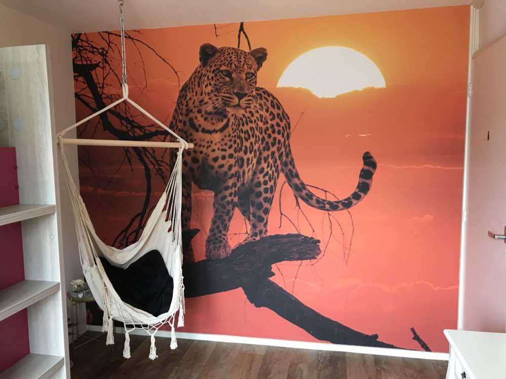 Leopard with setting sun