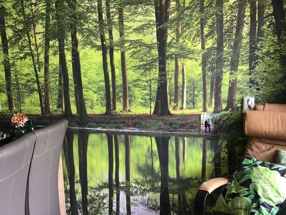 Reflection of trees in water