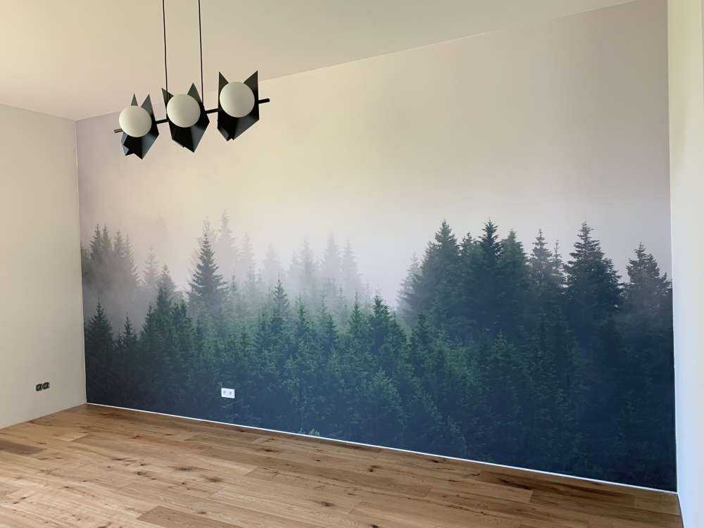 Pine trees in the fog