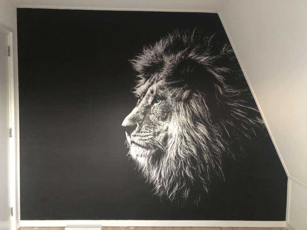 Lion with blue eyes