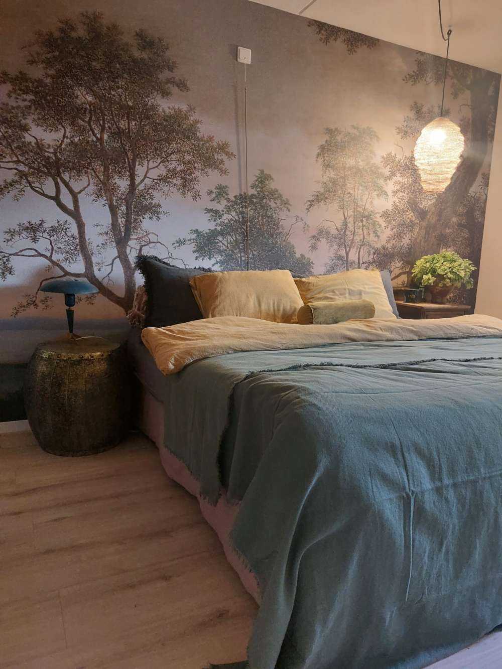 River landscape seen through trees