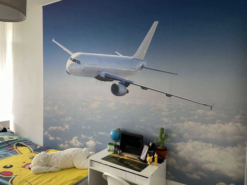 Airplane above the clouds