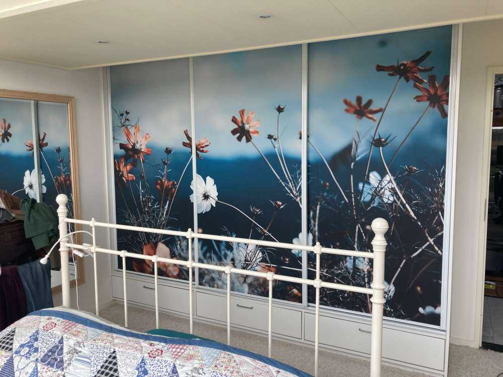 Cosmos flowers in the field