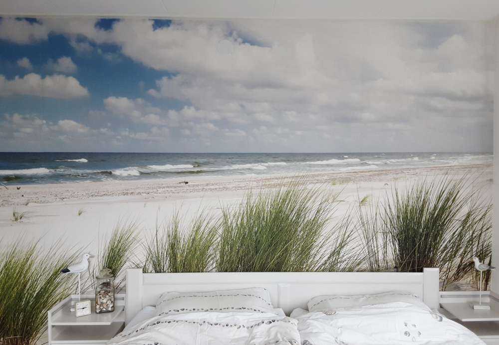 Beach with dune plants