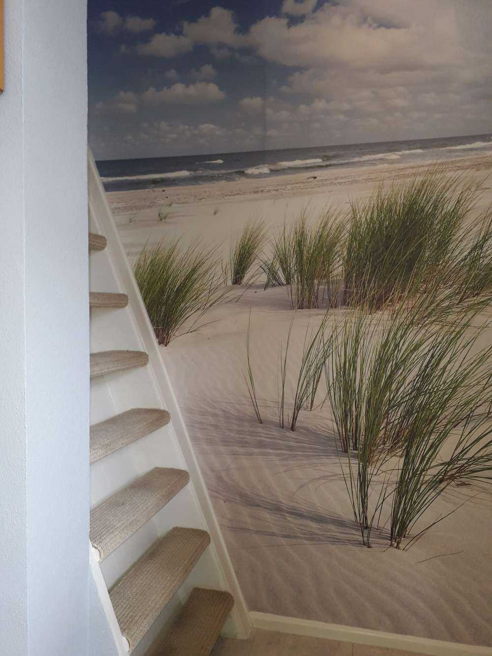 Beach with dune plants