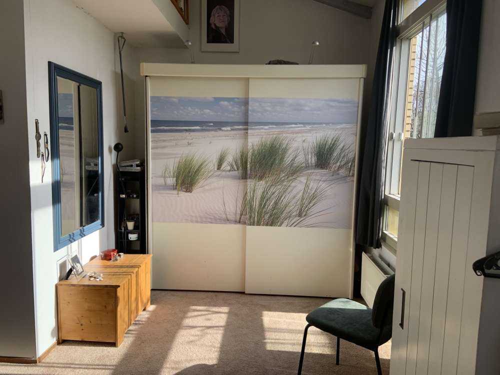 Beach with dune plants