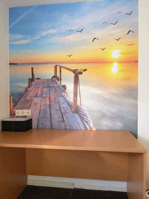Birds above the sea