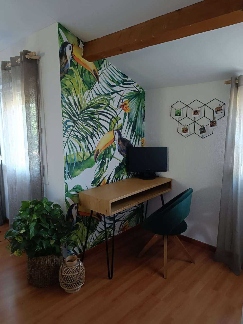 Toucan between the leaves