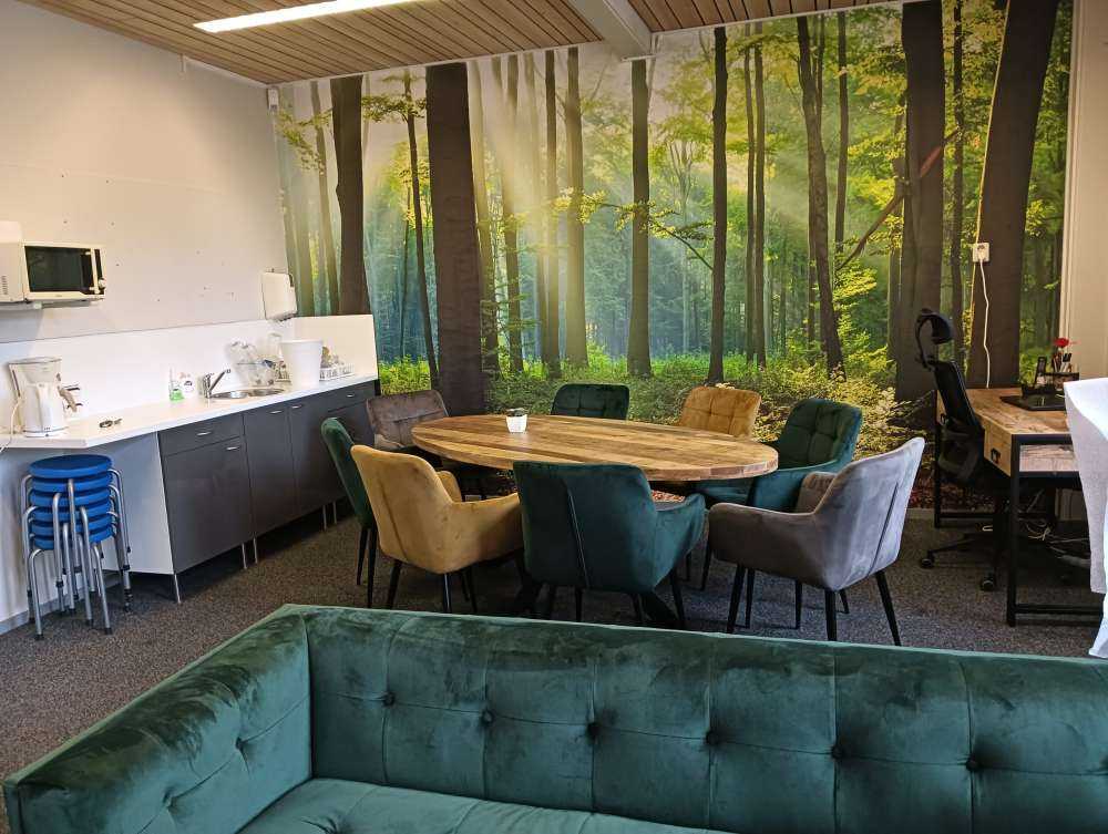 Morning in the forest