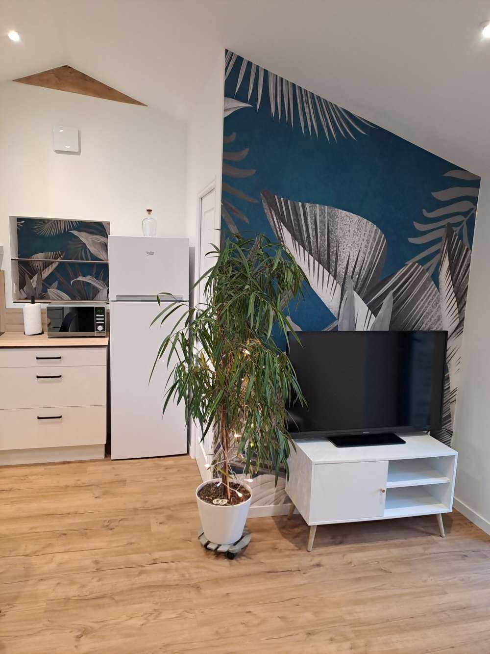 Tropical leaves on a blue background