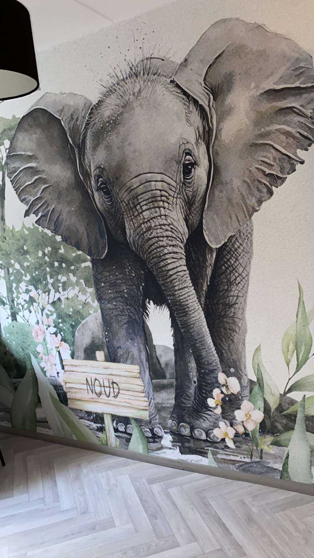 Elephant in the jungle