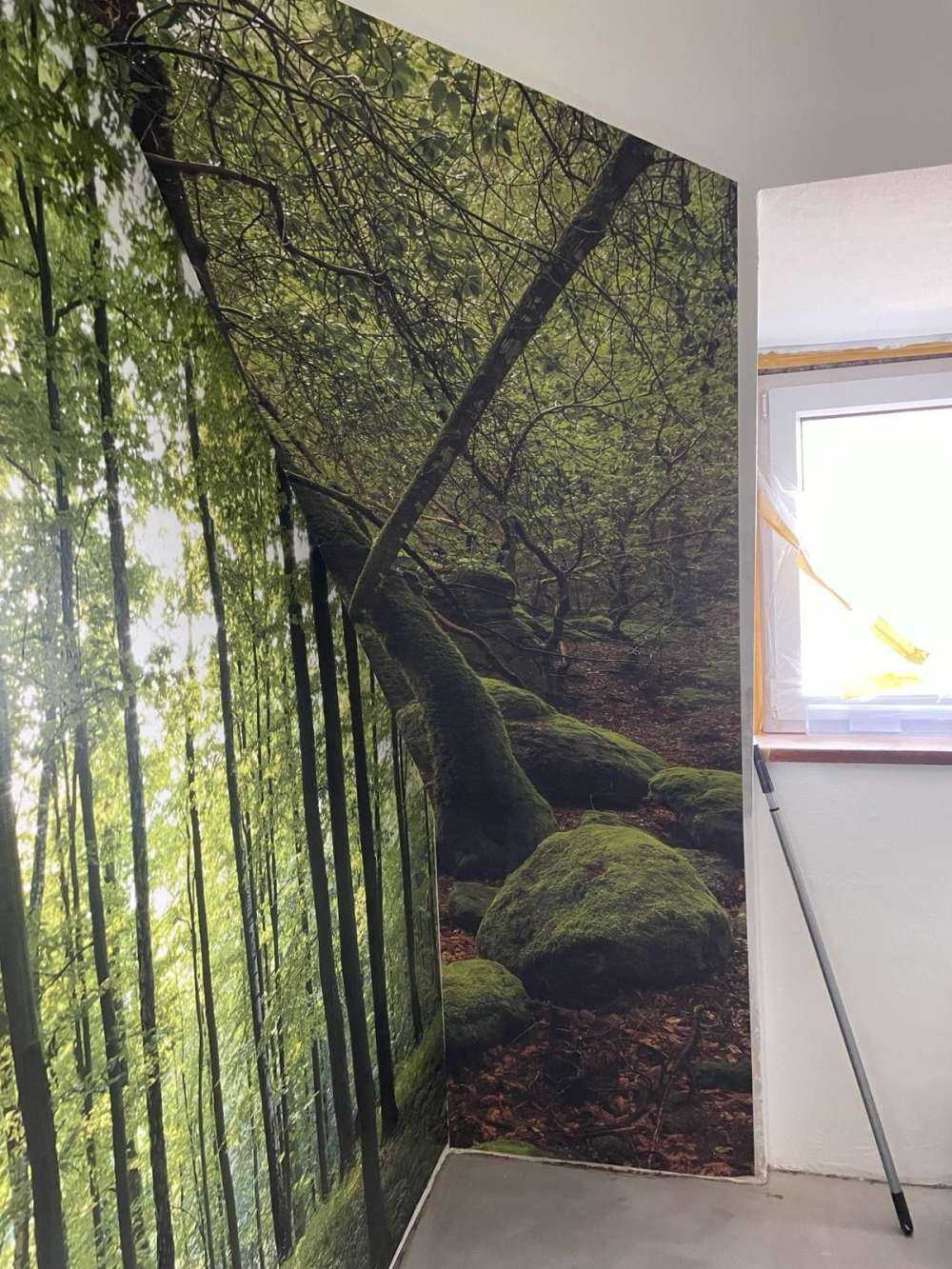 Trees and moss stones