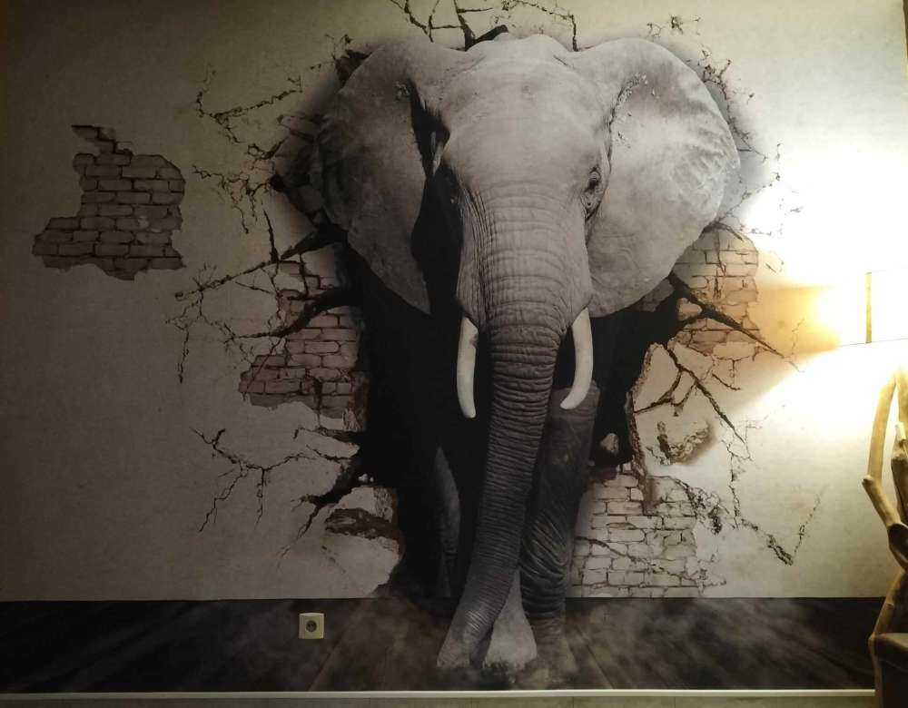 3D Elephant from the wall