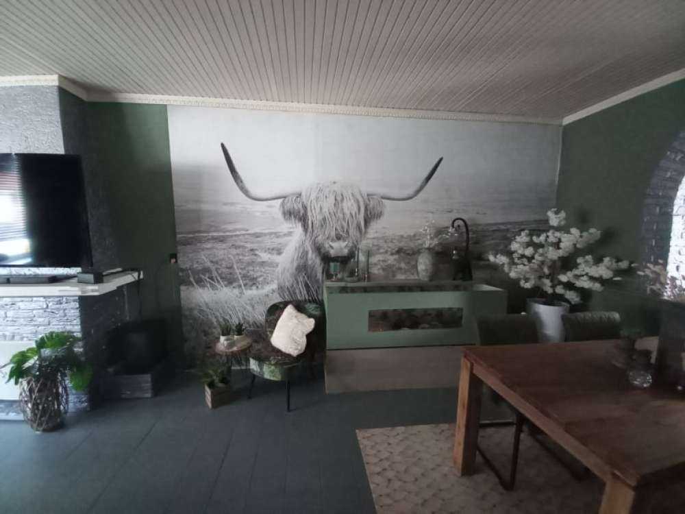 Scottish Highlander with reed