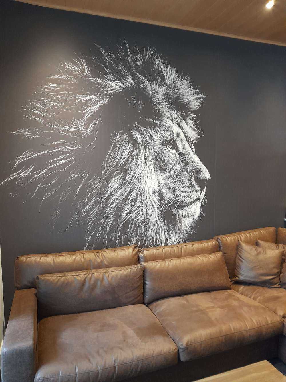 Lion with blue eyes