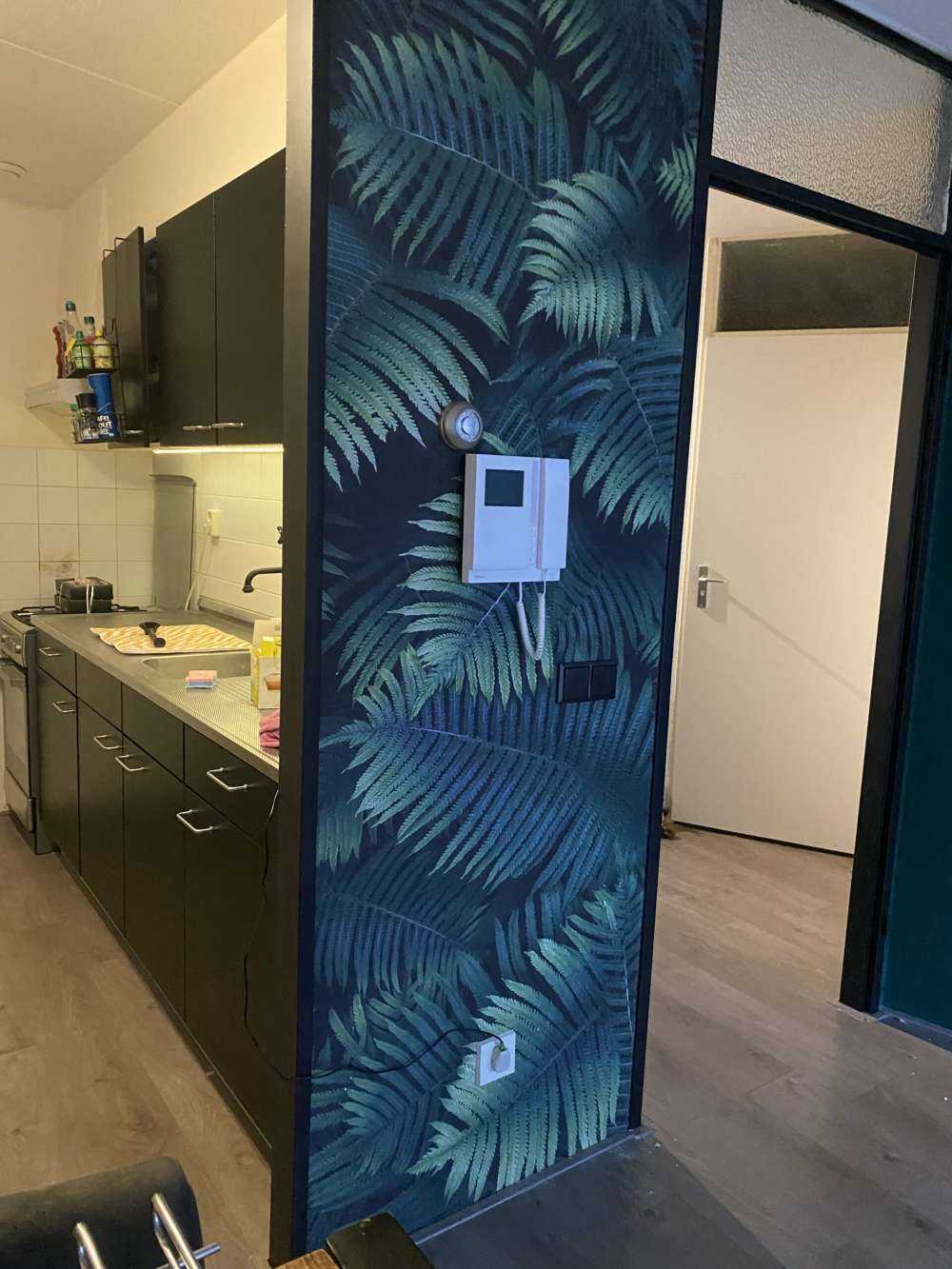 Large palm leaves