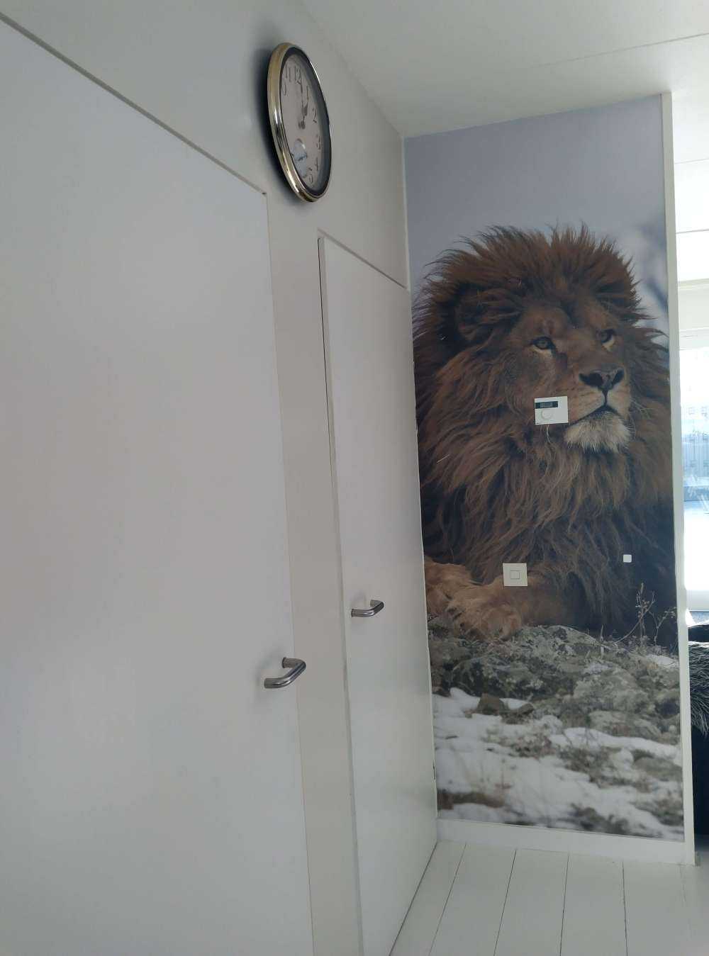 Barbary lion