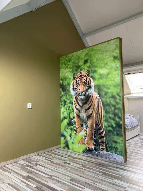 Tiger standing on a stone
