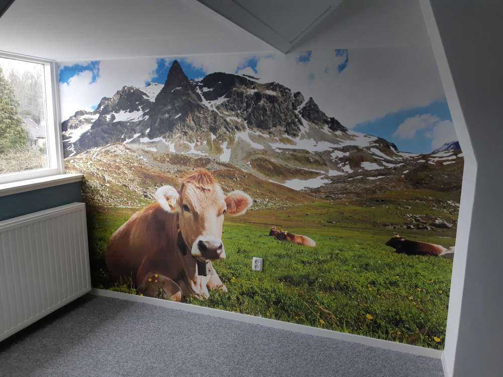 Austrian cow