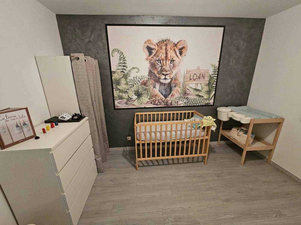 Young lion in the jungle